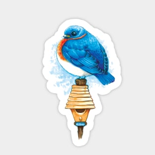 Beautiful Bluebird Bird Sticker